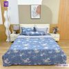  Bộ Chăn Ga Lụa Tencel Coolsilk TCS2833 