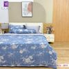  Bộ Chăn Ga Lụa Tencel Coolsilk TCS2833 