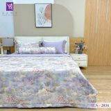  Bộ Chăn Ga Lụa Tencel Coolsilk TCS2834 