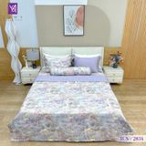  Bộ Chăn Ga Lụa Tencel Coolsilk TCS2834 