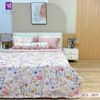  Bộ Chăn Ga Lụa Tencel Coolsilk TCS2835 