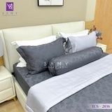  Bộ Chăn Ga Lụa Tencel Coolsilk TCS2836 