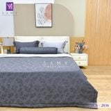  Bộ Chăn Ga Lụa Tencel Coolsilk TCS2836 