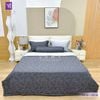  Bộ Chăn Ga Lụa Tencel Coolsilk TCS2836 