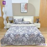  Bộ Chăn Ga Lụa Tencel Coolsilk TCS2837 