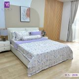  Bộ Chăn Ga Lụa Tencel Coolsilk TCS2838 