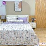  Bộ Chăn Ga Lụa Tencel Coolsilk TCS2838 