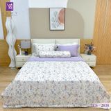  Bộ Chăn Ga Lụa Tencel Coolsilk TCS2838 