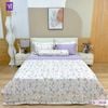  Bộ Chăn Ga Lụa Tencel Coolsilk TCS2838 
