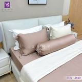  Bộ Chăn Ga Lụa Tencel Coolsilk TCS2840 