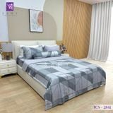  Bộ Chăn Ga Lụa Tencel Coolsilk TCS2841 