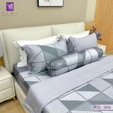  Bộ Chăn Ga Lụa Tencel Coolsilk TCS2841 