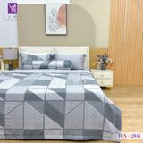  Bộ Chăn Ga Lụa Tencel Coolsilk TCS2841 
