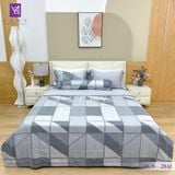  Bộ Chăn Ga Lụa Tencel Coolsilk TCS2841 