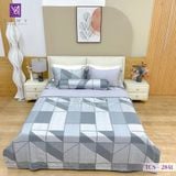  Bộ Chăn Ga Lụa Tencel Coolsilk TCS2841 