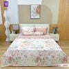  Bộ Chăn Ga Lụa Tencel Coolsilk TCS2842 