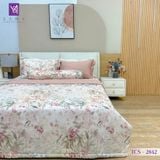  Bộ Chăn Ga Lụa Tencel Coolsilk TCS2842 