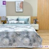  Bộ Chăn Ga Lụa Tencel Coolsilk TCS2839 