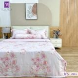  Bộ Chăn Ga Lụa Tencel Coolsilk TCS2844 