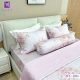  Bộ Chăn Ga Lụa Tencel Coolsilk TCS2844 