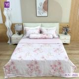  Bộ Chăn Ga Lụa Tencel Coolsilk TCS2844 