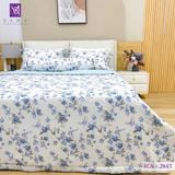  Bộ Chăn Ga Lụa Tencel Coolsilk TCS2845 