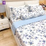  Bộ Chăn Ga Lụa Tencel Coolsilk TCS2845 