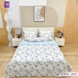  Bộ Chăn Ga Lụa Tencel Coolsilk TCS2845 