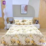  Bộ Chăn Ga Lụa Tencel Coolsilk TCS2846 