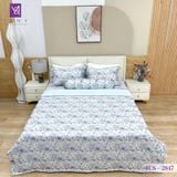  Bộ Chăn Ga Lụa Tencel Coolsilk TCS2847 