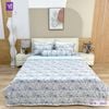  Bộ Chăn Ga Lụa Tencel Coolsilk TCS2847 