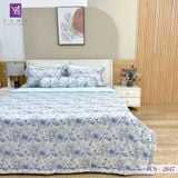  Bộ Chăn Ga Lụa Tencel Coolsilk TCS2847 