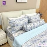  Bộ Chăn Ga Lụa Tencel Coolsilk TCS2847 