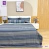  Bộ Chăn Ga Lụa Tencel Coolsilk TCS2843 