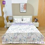  Bộ Chăn Ga Lụa Tencel Coolsilk TCS2848 