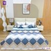  Bộ Chăn Ga Lụa Tencel Coolsilk TCS2849 