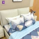  Bộ Chăn Ga Lụa Tencel Coolsilk TCS2849 