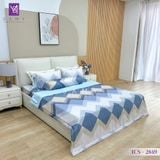  Bộ Chăn Ga Lụa Tencel Coolsilk TCS2849 