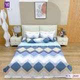  Bộ Chăn Ga Lụa Tencel Coolsilk TCS2849 