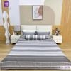  Bộ Chăn Ga Lụa Tencel Coolsilk TCS2851 