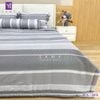  Bộ Chăn Ga Lụa Tencel Coolsilk TCS2851 
