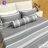  Bộ Chăn Ga Lụa Tencel Coolsilk TCS2851 