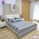  Bộ Chăn Ga Lụa Tencel Coolsilk TCS2851 