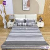  Bộ Chăn Ga Lụa Tencel Coolsilk TCS2851 