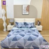  Bộ Chăn Ga Lụa Tencel Coolsilk TCS2852 