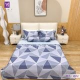  Bộ Chăn Ga Lụa Tencel Coolsilk TCS2852 