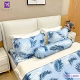  Bộ Chăn Ga Lụa Tencel Coolsilk TCS2850 
