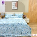  Bộ Chăn Ga Lụa Tencel Coolsilk TCS2853 