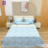  Bộ Chăn Ga Lụa Tencel Coolsilk TCS2853 