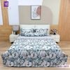  Bộ Chăn Ga Lụa Tencel Coolsilk TCS2855 